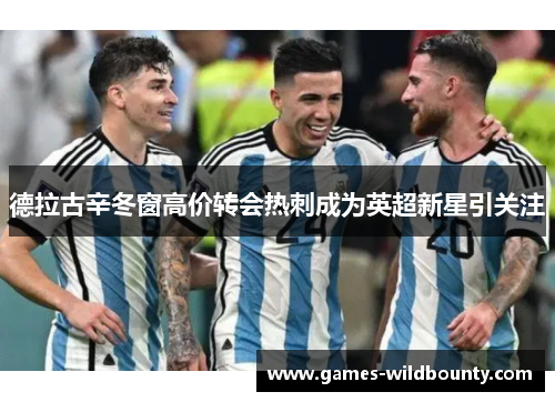 德拉古辛冬窗高价转会热刺成为英超新星引关注
